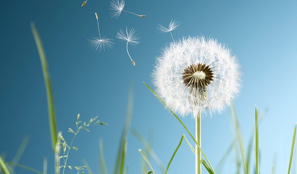 Gelebte Nachhaltigkeit